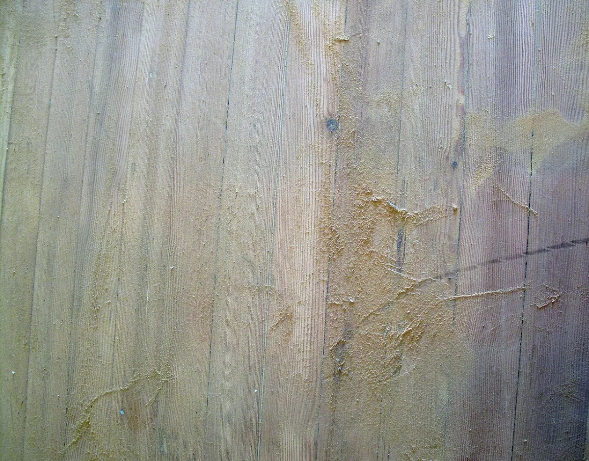 Houten plank met schuurstof na het schuren van hout